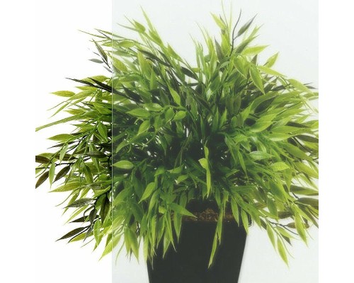 Душевой уголок Triton Вента-Блэк 80х80 Щ0000057853 профиль Черный стекло прозрачное