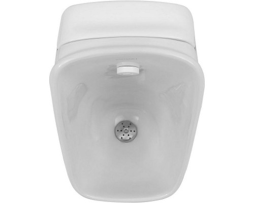 Писсуар Aquanet Cetus-U 344302 подвесной Белый