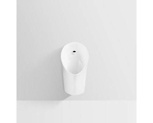 Писсуар Arrow AN661 подвесной цвет Белый