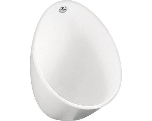 Писсуар Jacob Delafon Coquille E1519-00 подвесной цвет Белый