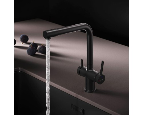 Смеситель для кухни AM.PM Func F8F05722 цвет Черный