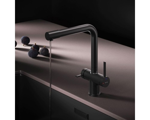 Смеситель для кухни AM.PM Func F8F05722 цвет Черный