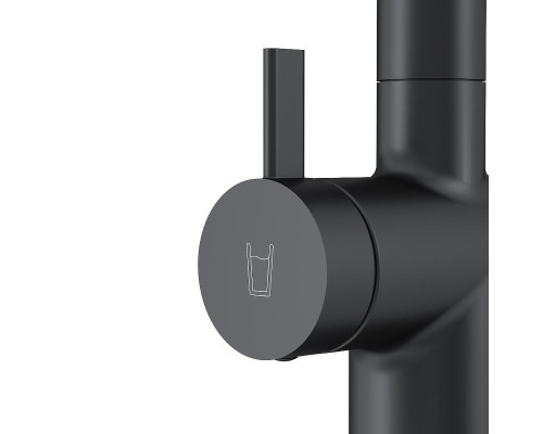 Смеситель для кухни AM.PM Func F8F05722 цвет Черный