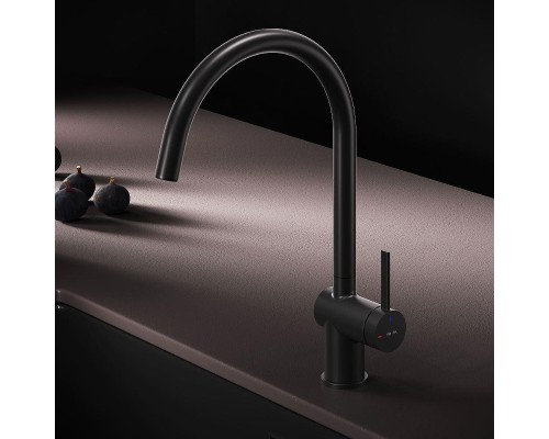 Смеситель для кухни AM.PM Func F8F07022 цвет Черный