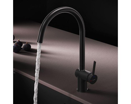Смеситель для кухни AM.PM Func F8F07022 цвет Черный