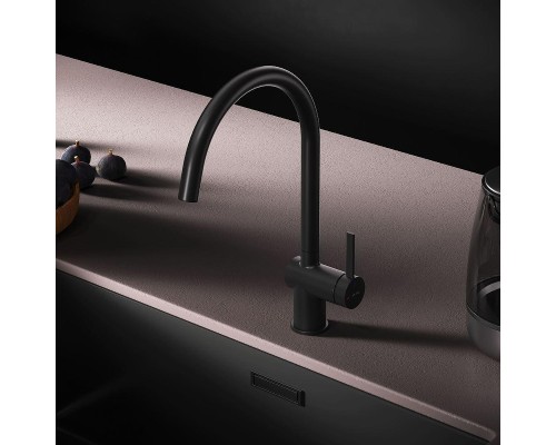 Смеситель для кухни AM.PM Func F8F07022 цвет Черный