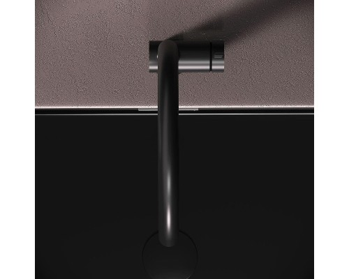 Смеситель для кухни AM.PM Func F8F07022 цвет Черный