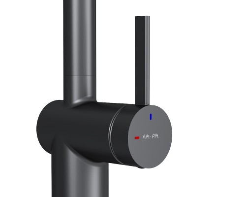 Смеситель для кухни AM.PM Func F8F07022 цвет Черный