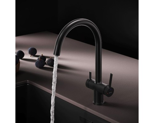 Смеситель для кухни AM.PM Func F8F07722 цвет Черный