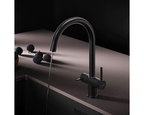 Смеситель для кухни AM.PM Func F8F07722 цвет Черный