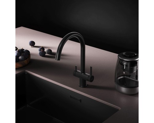 Смеситель для кухни AM.PM Func F8F07722 цвет Черный