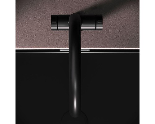 Смеситель для кухни AM.PM Func F8F07722 цвет Черный