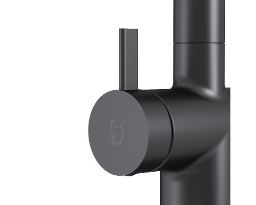 Смеситель для кухни AM.PM Func F8F07722 цвет Черный