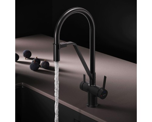 Смеситель для кухни AM.PM Func F8F07822 цвет Черный