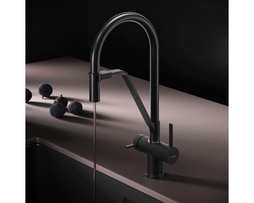 Смеситель для кухни AM.PM Func F8F07822 цвет Черный