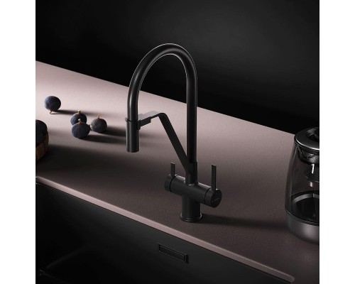 Смеситель для кухни AM.PM Func F8F07822 цвет Черный