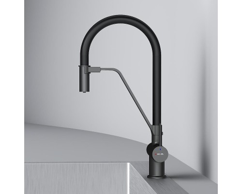 Смеситель для кухни AM.PM Func F8F07822 цвет Черный