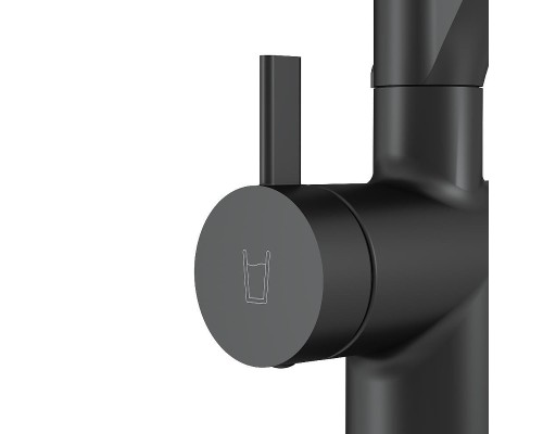 Смеситель для кухни AM.PM Func F8F07822 цвет Черный