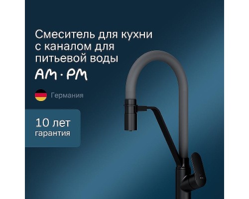Смеситель для кухни AM.PM Like F8007825 Черный матовый Серый