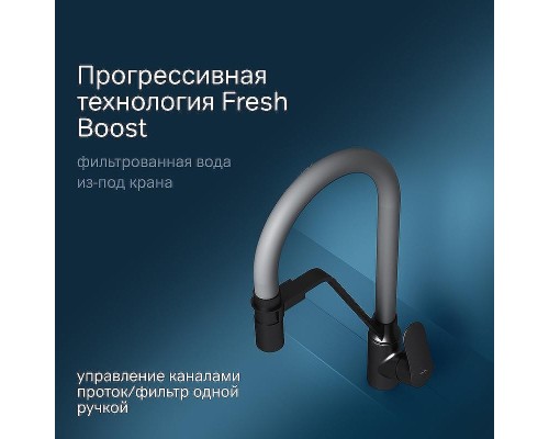 Смеситель для кухни AM.PM Like F8007825 Черный матовый Серый