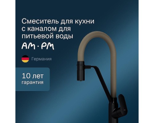 Смеситель для кухни AM.PM Like F8007826 Черный матовый Бежевый