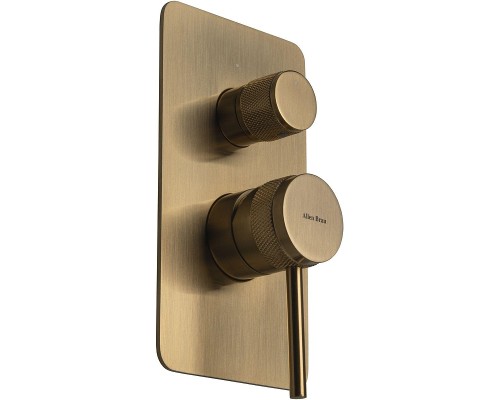 Смеситель для душа Allen Brau Priority 5.31011-GB цвет Золото