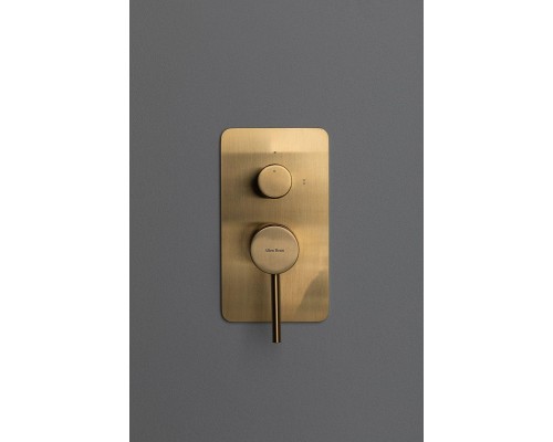 Смеситель для душа Allen Brau Priority 5.31011-GB цвет Золото