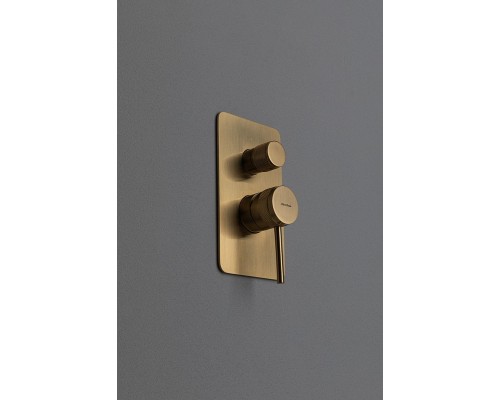 Смеситель для душа Allen Brau Priority 5.31011-GB цвет Золото