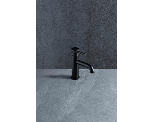 Смеситель для раковины Allen Brau Priority 5.31001-31 Черный матовый