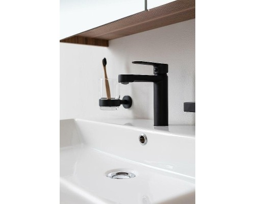 Смеситель для раковины Aquanet Passion AF300-10B 243293 Черный