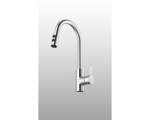 Смеситель для кухни Arrow AG4506 цвет Хром