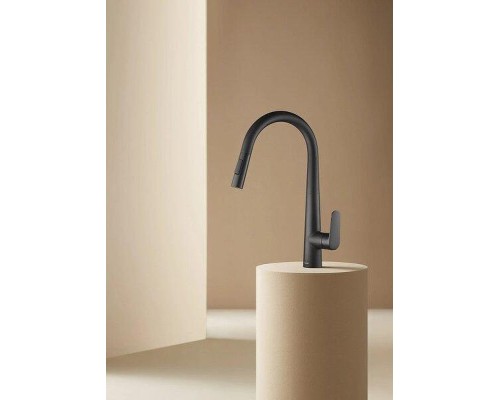 Смеситель для кухни Arrow AG4519MB цвет Черный матовый