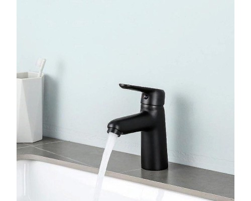 Смеситель для раковины Frap H17-6 F1017-6 Черный матовый