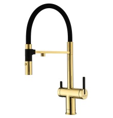 Смеситель для кухни Paulmark Gravity Gr213888-G Золото