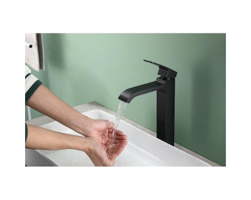 Смеситель для раковины Raglo R02.15.06 цвет Черный матовый