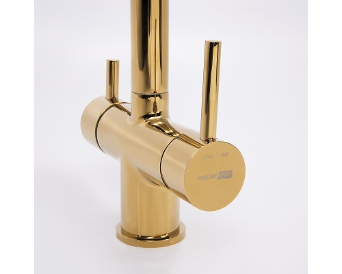 Смеситель для кухни WasserKRAFT A8377 Золото