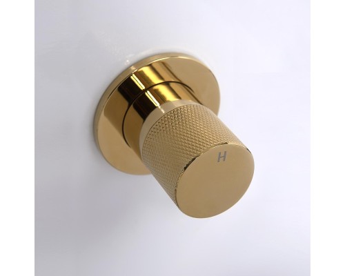 Смеситель для раковины WasserKRAFT Ems 7645 Золото глянцевое