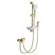 Смеситель для душа Wonzon & Woghand WW-A31003-BG цвет Брашированное золото