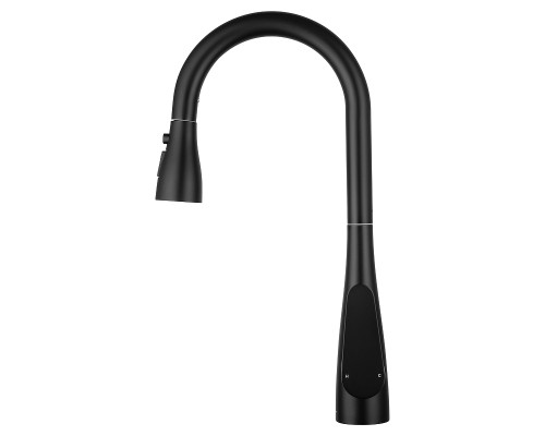 Смеситель для кухни Wonzon & Woghand WW-121E201B-MB цвет Черный матовый