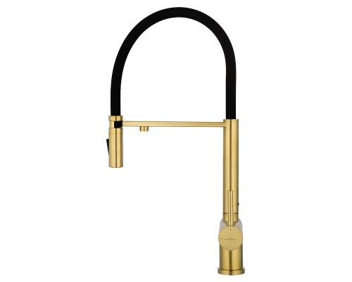 Смеситель для кухни Wonzon & Woghand WW-88458009-BG цвет Брашированное золото