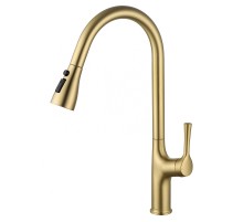 Смеситель для кухни Wonzon & Woghand WW-AE54123-BG цвет Брашированное золото