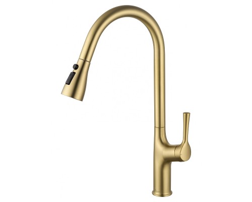 Смеситель для кухни Wonzon & Woghand WW-AE54123-BG цвет Брашированное золото
