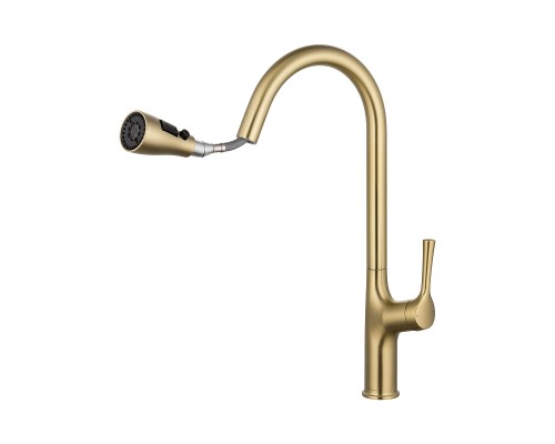 Смеситель для кухни Wonzon & Woghand WW-AE54123-BG цвет Брашированное золото