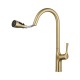 Смеситель для кухни Wonzon & Woghand WW-AE54123-BG цвет Брашированное золото