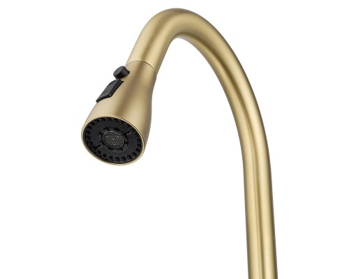 Смеситель для кухни Wonzon & Woghand WW-AE54123-BG цвет Брашированное золото
