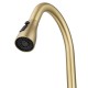 Смеситель для кухни Wonzon & Woghand WW-AE54123-BG цвет Брашированное золото