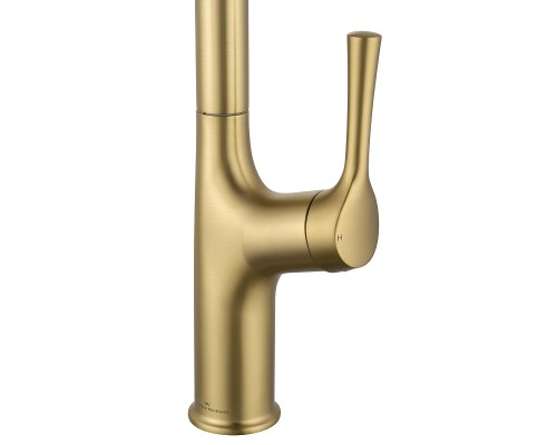 Смеситель для кухни Wonzon & Woghand WW-AE54123-BG цвет Брашированное золото