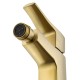 Смеситель для биде Wonzon & Woghand Flex WW-88016072-BG цвет Брашированное золото