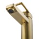 Смеситель для раковины Wonzon & Woghand Frame WW-88139010-BG цвет Брашированное золото