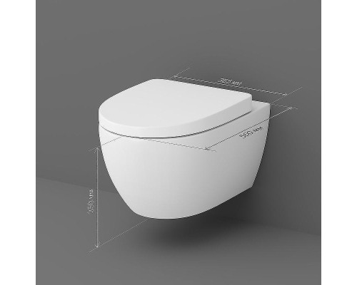 Унитаз AM.PM Awe C111738WH подвесной без сиденья